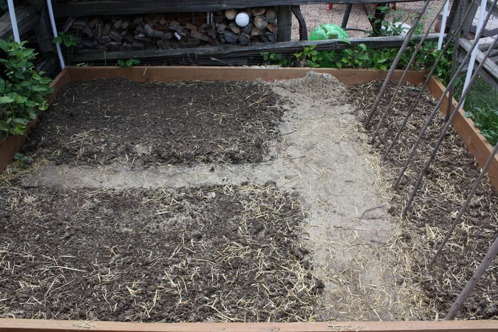  photo IMG_8272_zpsa3935416.jpg